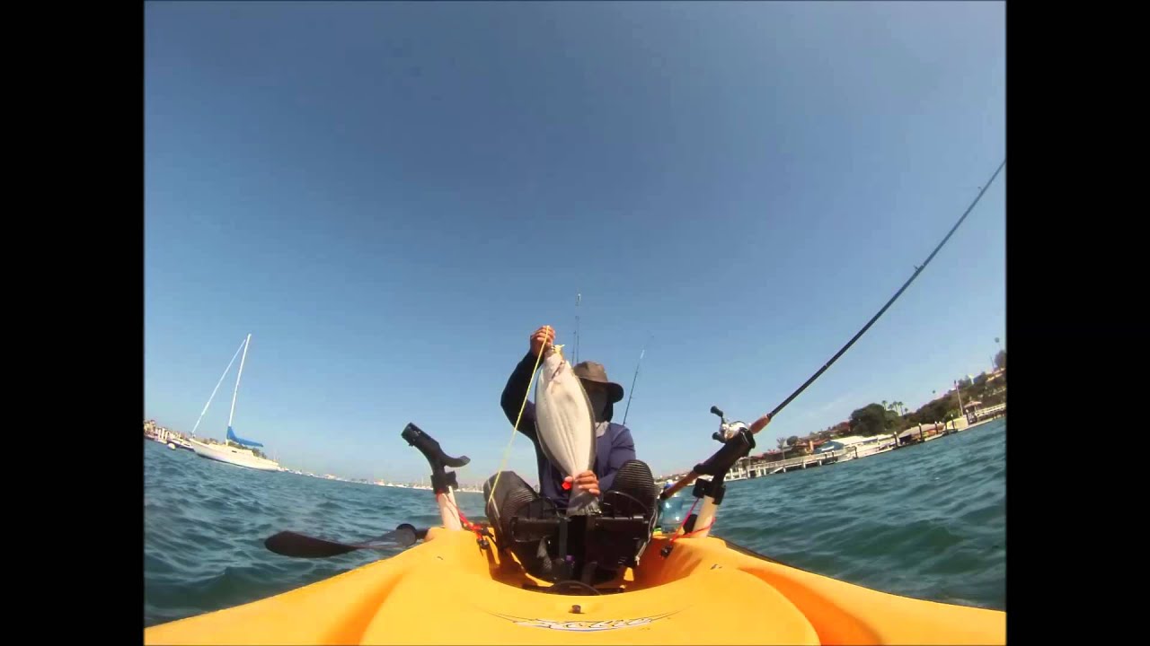 HALIBUT KAYAK FISHING NEWPORT HARBOR 6212013 YouTube