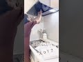 換気扇掃除しなくていいって本当？？大掃除が劇的ラクになるスターフィルター