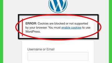 Fix Wordpress Error Cookies are blocked or not supported by your browser. you must enable cookies..