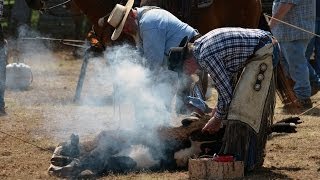 Cattle Branding