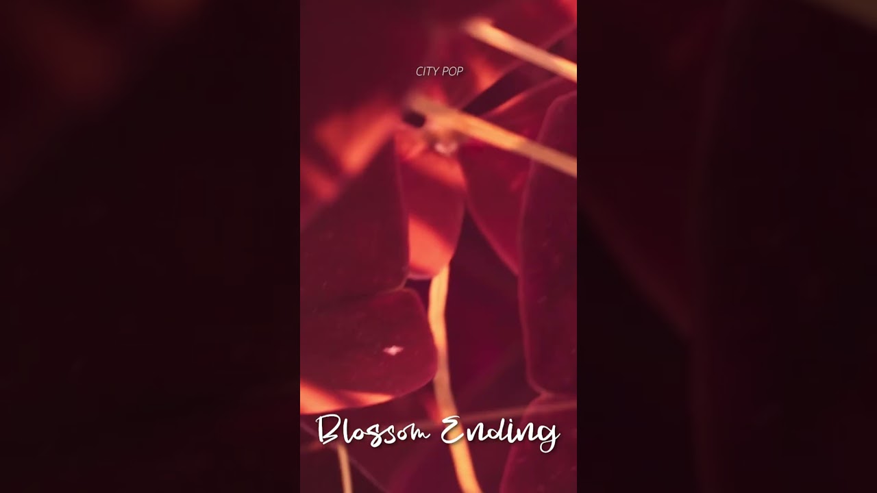 Experience the fleeting beauty of sakura season on city boulevards with this picturesque city pop al