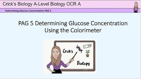 Determining glucose concentration using a colorimeter PAG5 A-level biology practicals #cricksbiology