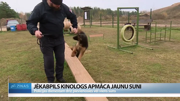 ReTV: Jēkabpilī policijā dienēs Apollo Dark