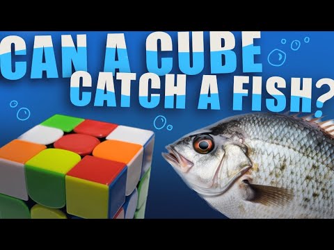 Can a Rubik's Cube Catch a Fish!?