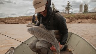 The RIVER MONSTERS of Nova Scotia