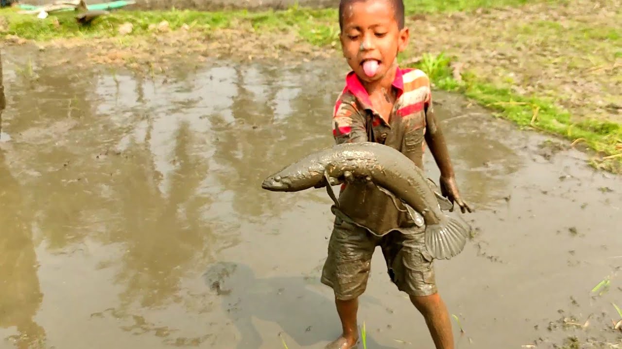 Amazing Boy Catching Big Catfish In Mud Water | Hand Fishing For ...