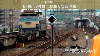 【EF66】EF66-38号機 駅撮り@西浦和 (2009年)