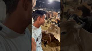 Roopangarh ga ek Matra Aisa blogger ￼🥹 #minivlog #vlog #funny #youtubeshorts