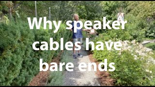 Why speaker cables have bare ends