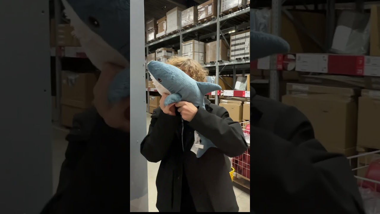 BABY SHARKY by КРУТОЙ БОТАН)) ИМБА! 