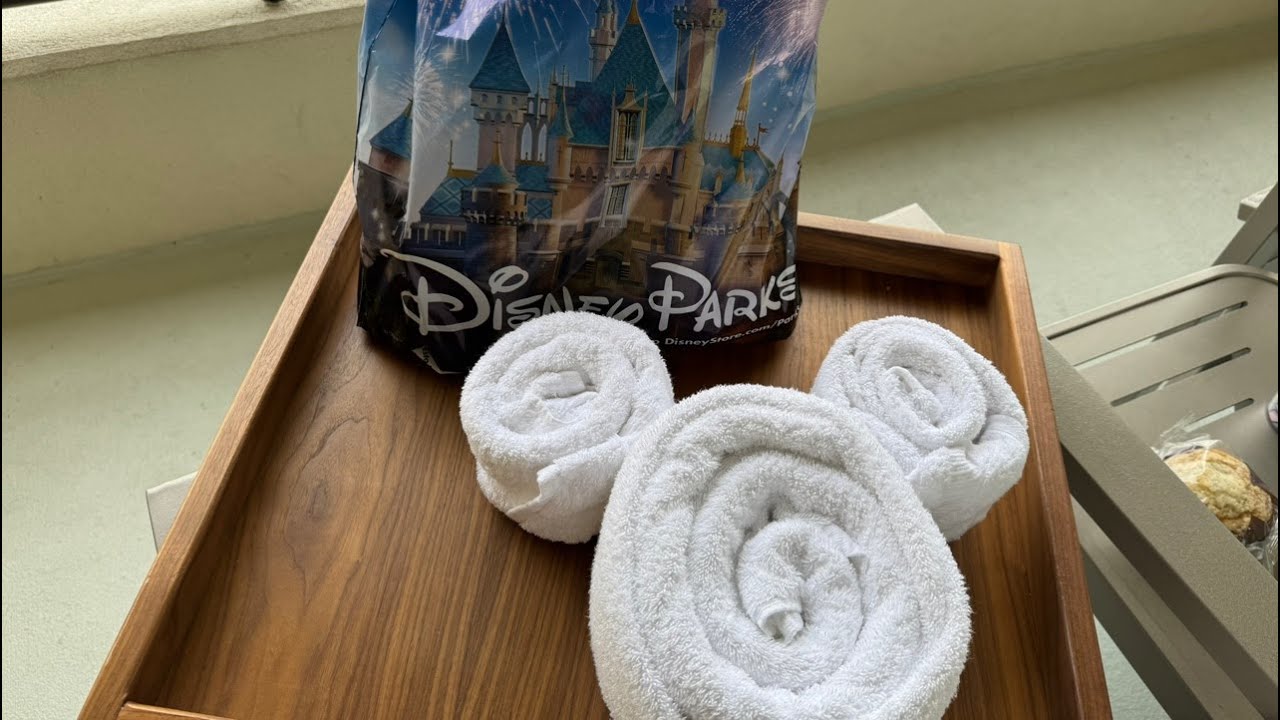 🔴LIVE🔴 Lasr day at Bay Lake Tower and items for 1000 subs giveaway on Iggy On The Spot