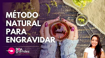 Como tomar óleo de prímula para engravidar?