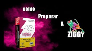 COMO PREPARAR CORRETAMENTE UMA ZIGGY