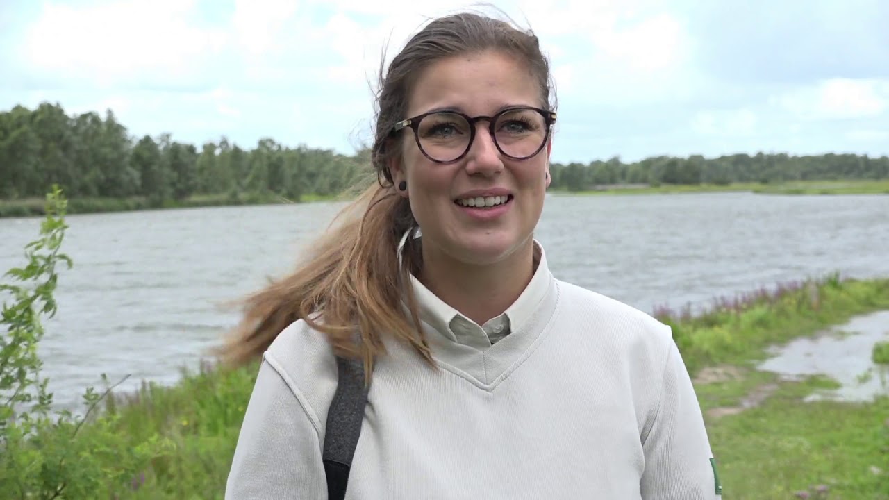 Verborgen parel in de Hoeksche Waard: natuurgebied De Oeverlanden