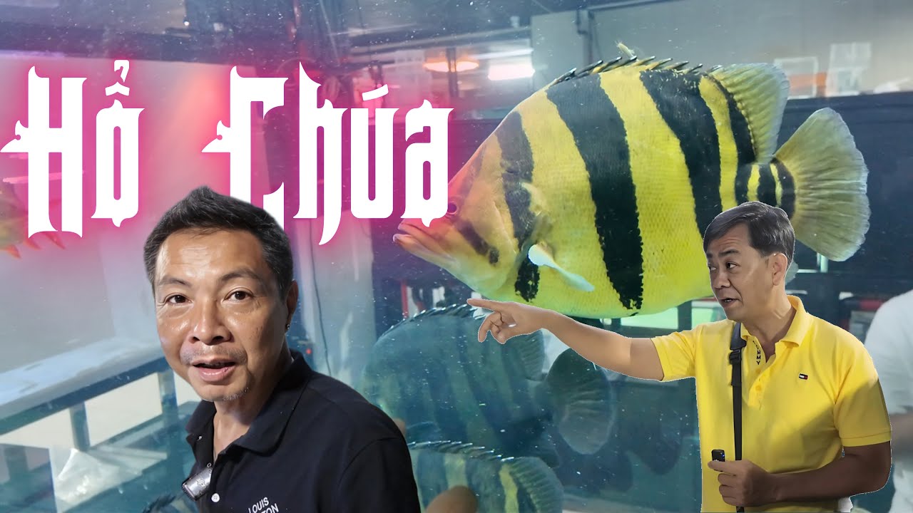 Gặp Hổ Chúa & Tham Quan Chợ Cá Cảnh Quảng Châu