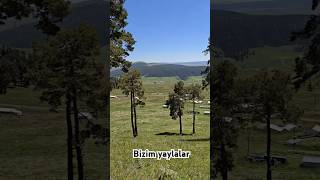 Bizim Köyün Yaylası Resimi