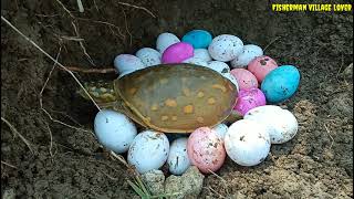Finding Tortoise and Eggs in Soil Hole | Smart boy SearchingTortise | Really Attractive video