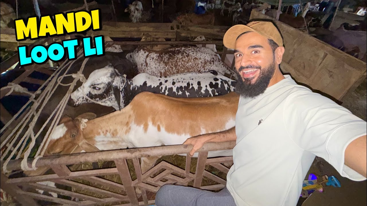 Northern bypass mandi loot li hum ne 😍 4 janwaron ka sauda kar lia 🐂