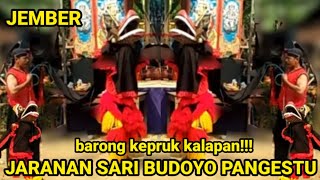 barong kepruk kalapan!!! JARANAN SARI BUDOYO PANGESTU JEMBER
