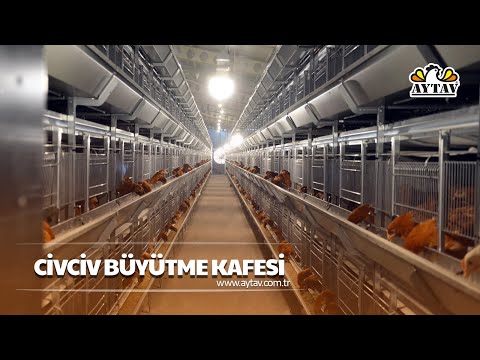 AYTAV - CİVCİV BÜYÜTME KAFESİ