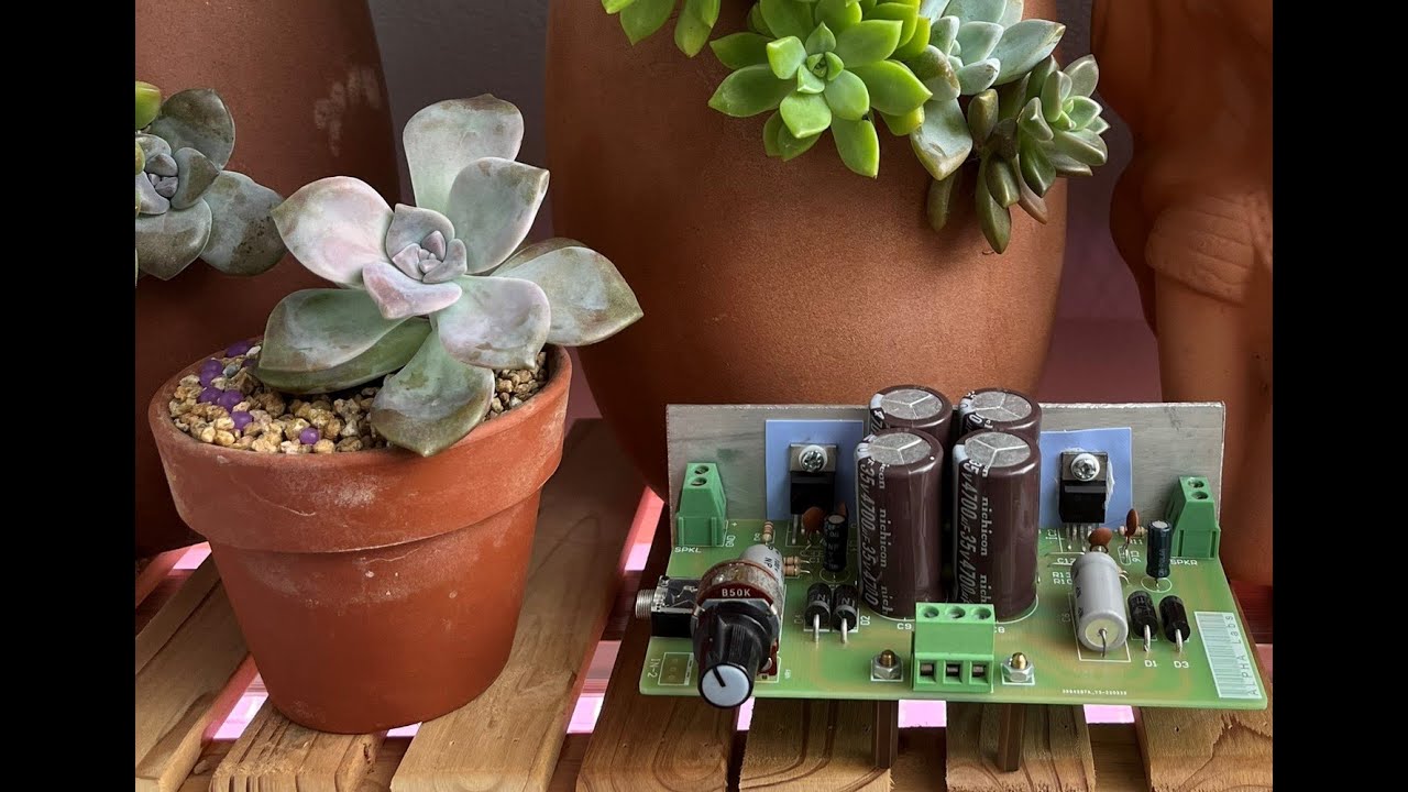 Project 2 DIY HiFi Power Amplifier using TDA2030 TDA2050 LM1875