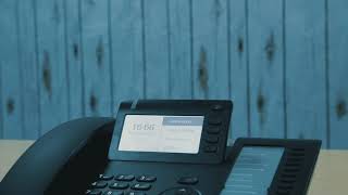 Openvoice Cp400 Converstations