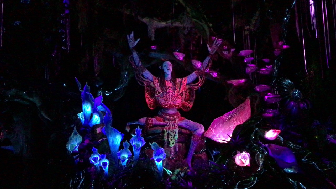 Shaman of Songs YouTube