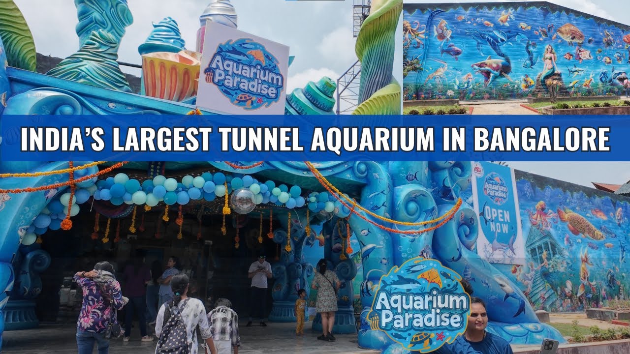 India’s Longest Tunnel Aquarium Opens in Bangalore | Aquarium Paradise Jayamahal |Mermaid show