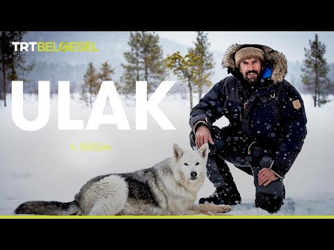 Ulak | Kuzey İnsanları | TRT Belgesel