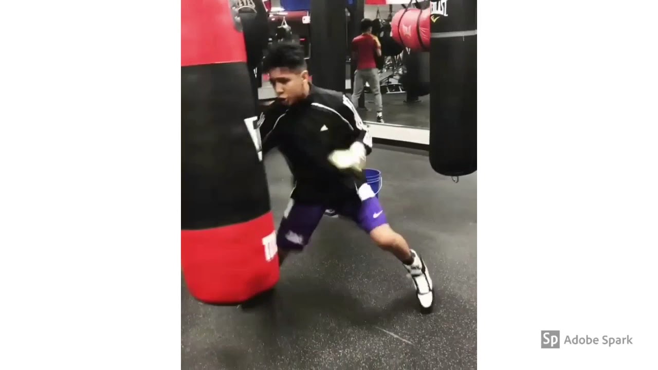 WHO IS THIS UNDEFEATED PROSPECT?? Boxing next big star?