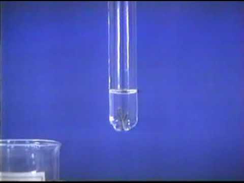 Fe + H2SO4 loãng - youtube