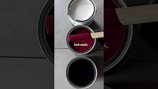 Best paint colors to pair with black & white?