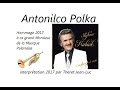 Antonilco Polka / Folklore Polonais