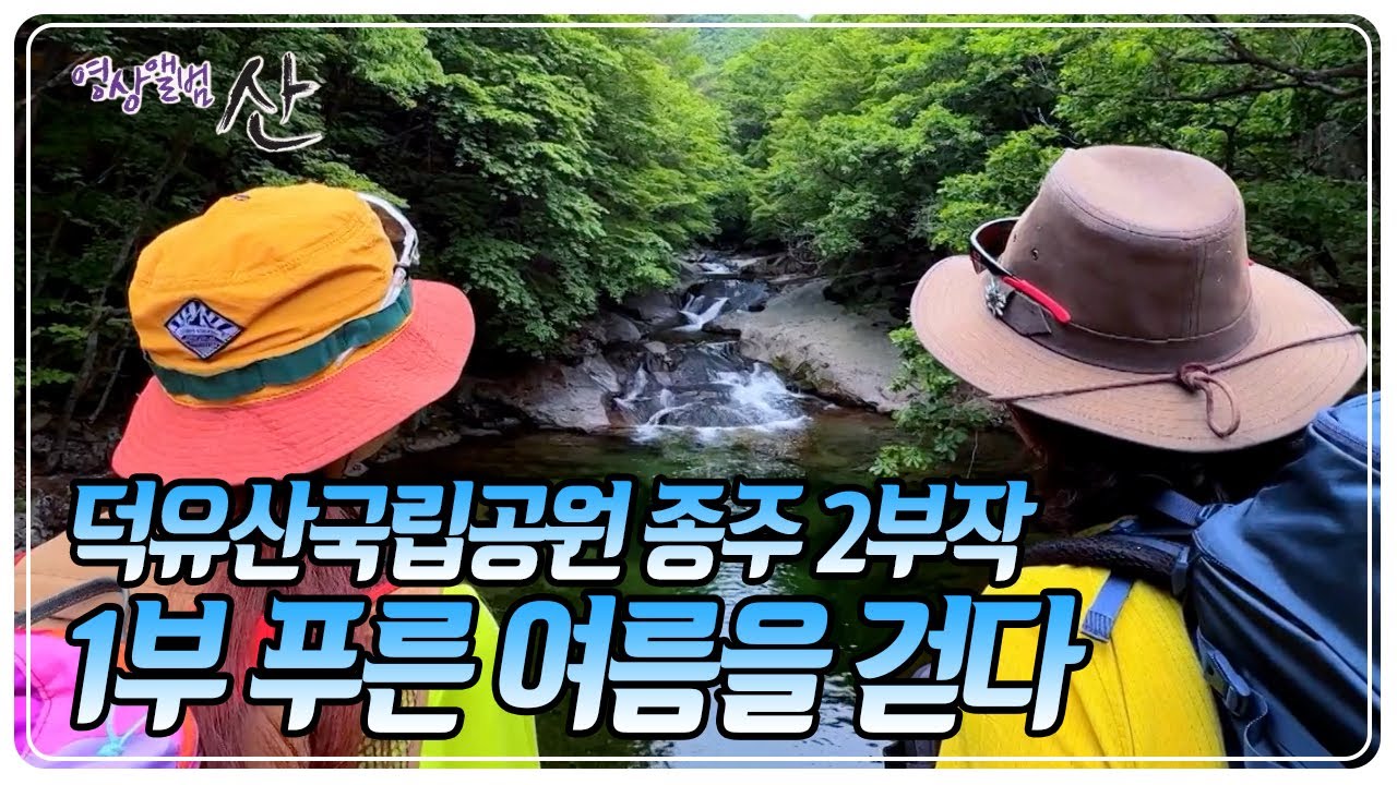 깊고 너른 산세와 굽이진 계곡, 품 안에 다양한 생태가 살아 숨 쉬는 덕유산국립공원으로의 여정 [영상앨범 산] KBS 250622 방송