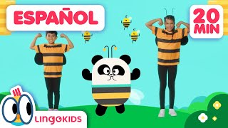 BAILA como las ABEJAS  + Canciones para BAILAR | Lingokids en Español