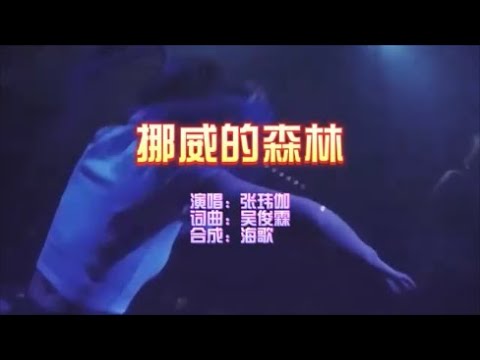 张玮伽 《挪威的森林（DJ版）》 KTV 导唱字幕 （备有伴奏视频）
