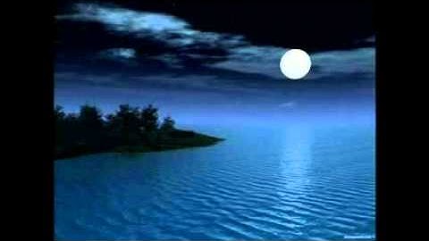 القارئ محمد ياسين العشاب.mp4