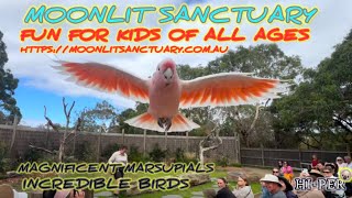 Moonlit Animal Sanctuary 🐨 “MUST VISIT” If Near Melbourne Australia