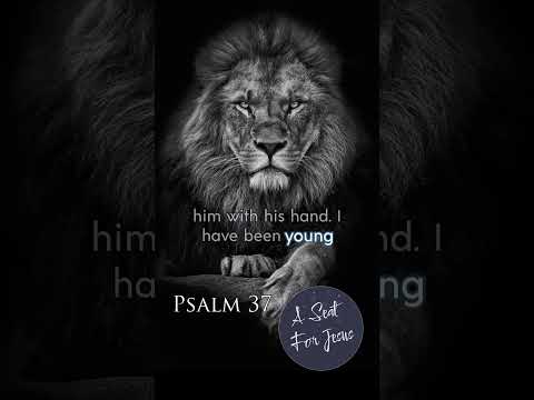 Psalm 37 - A Chapter on the End Times - What's In Store For The Wicked?