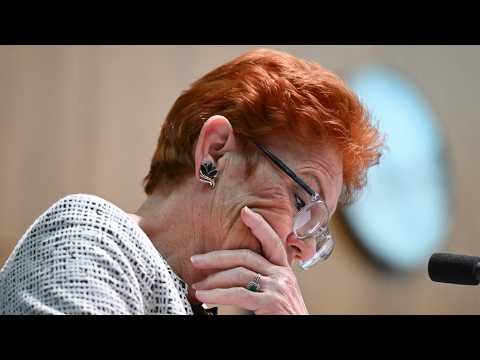 One Nation faces backlash over unpaid role advertisement
