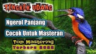 Tengkek Udang Ngerol Panjang. Masteran Terbaik dan Terbaru 2022. Jernih