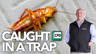 Sponsored Slot: Caught in a trap!