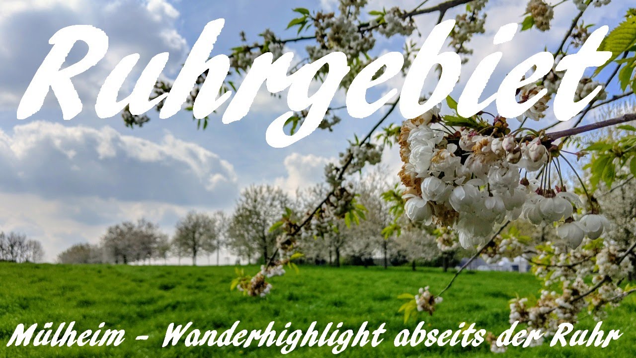 Ruhrgebiet: Mülheim - Wanderhighlight abseits der Ruhr - Vlog 159