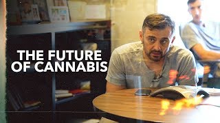 The Future of the Cannabis Industry | Interview With DOPE Magazine