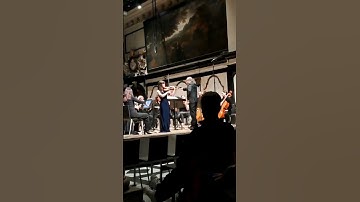 Thumbnail of Violin concerto in D, Op 61 - Ludwig van Beethoven (Clarinet excerpt) | Sylvia Huang