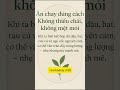 ĂN CHAY ĐÚNG CÁCH, KHÔNG THIẾU CHẤT, KHÔNG MỆT MỎI