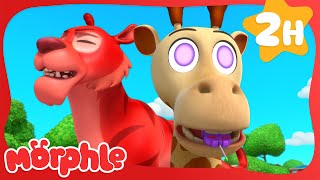 Animal Hypno Mixup ‍ | Mila and Morphle  Morphle 3D | Cartoons for Kids