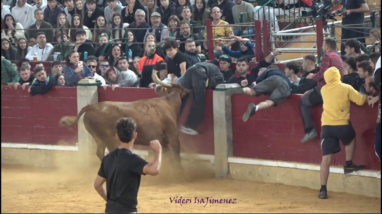 Zaragoza – Mañana vaquillera 05/10/2025 – Nº521/Jalapeña – “Hnos. Oliva Escudero” – HD