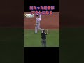 狙いすまして…#野球 #mlb #ルール #審判