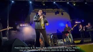 Franz Goovaerts Tc Band - Polk Salad Annie Elvis Presley Live Tribute